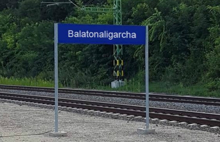 „Balatonaligarcha“: Das Wortspiel bezieht sich auf den Ortsnamen Balatonaliga / Foto (Schrift digital verändert) : vom Facebook-Account von Magyar Kétfarku Kutya Párt 