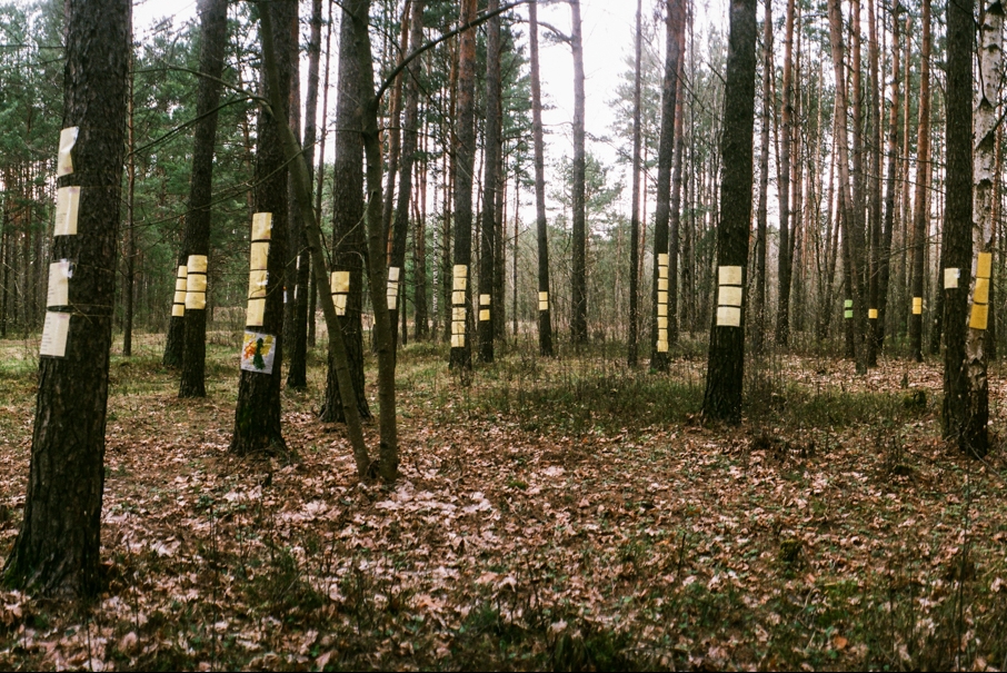 Die Zettel an den Bäumen in Trostenez sind inzwischen zu einem Symbol für das offizielle Nichtstun der Regierung in der Erinnerungspolitik geworden. Sie wurden von Nachkommen ermordeter Juden und Einheimischen in Eigeninitiative angebracht, um an die in der Vernichtungsstätte Trostenez Ermordeten zu erinnern. / Foto: Maxim Sarychau, n-ost