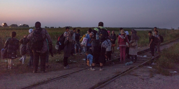 Flüchtlinge auf dem Weg Richtung Ungarn in der Nähe von Subotica in Serbien. / Foto: Merlin Nadj Torma, n-ost