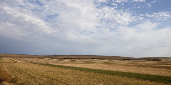 Die Weite der Vojvodina / Hannes Jung, n-ost