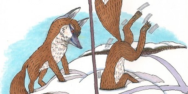 „Kleine Füchse“ ist Justyna Bargielskas erstes auf Deutsch erschienenes Buch. / Klak-Verlag